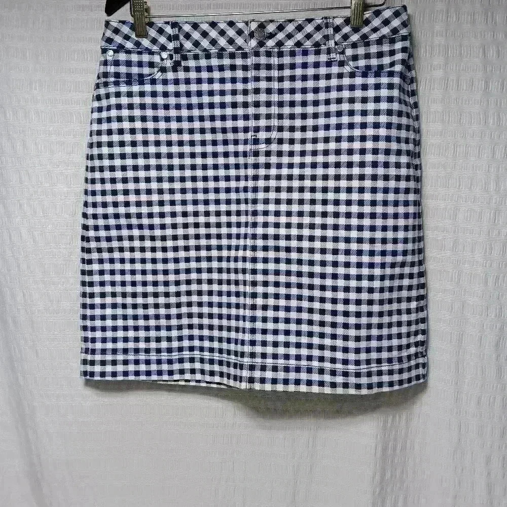 Talbots Blue and white checkered mini shirt. Size 10P.